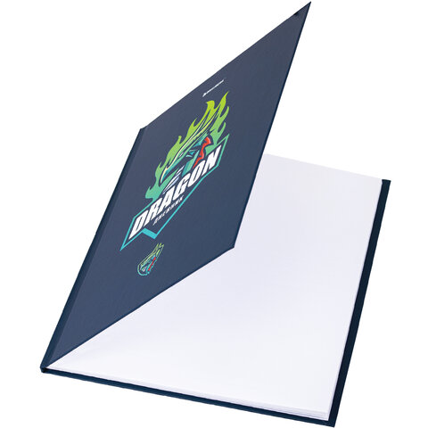 Дневник 1-11 класс 40 л., твердый, BRAUBERG, матовая ламинация,