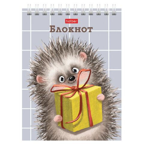 Блокнот МАЛЫЙ ФОРМАТ А6, 40 л., гребень, картон, клетка, HATBER, "Хорошо Блокнот МАЛЫЙ ФОРМАТ А6, 40 л., гребень, картон, клетка, HATBER, "Хорошо