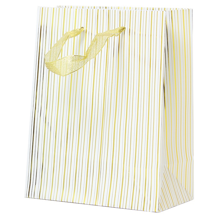 Пакет подарочный 23*18*10см "Darvish" полоски Пакет подарочный 23*18*10см "Darvish" полоски