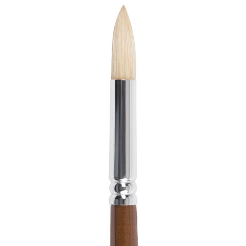 Кисть художественная профессиональная BRAUBERG ART "CLASSIC", щетина, Кисть художественная профессиональная BRAUBERG ART "CLASSIC", щетина,