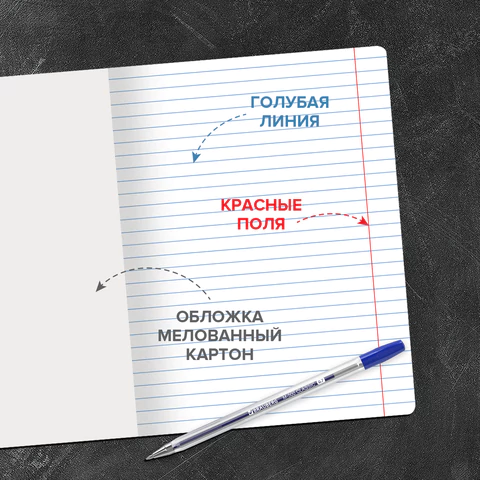 Тетради ДЭК 12 л. КОМПЛЕКТ 10 шт. BRAUBERG КЛАССИКА NEW, линия, обложка картон,