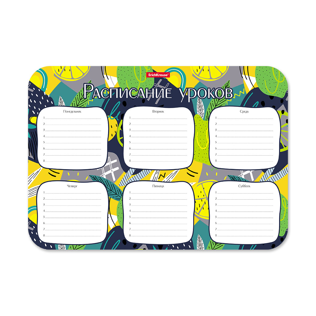 Расписание уроков пластиковое ErichKrause® Lime, А4 Расписание уроков пластиковое ErichKrause® Lime, А4
