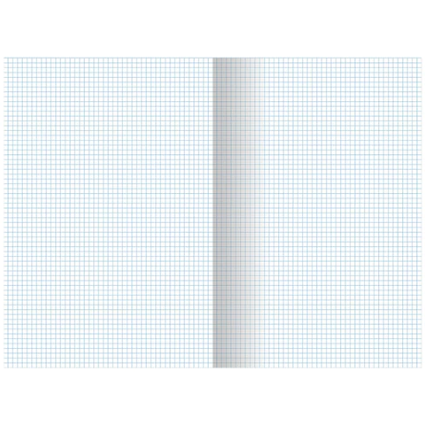 Тетради ДЭК А4, 96 л., КОМПЛЕКТ 3 шт., BRAUBERG, скоба, клетка, матовая Тетради ДЭК А4, 96 л., КОМПЛЕКТ 3 шт., BRAUBERG, скоба, клетка, матовая