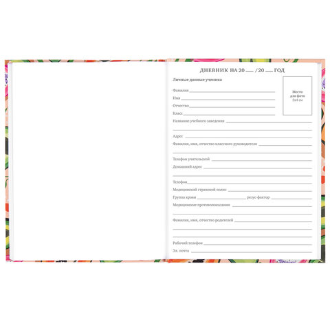 Дневник 5-11 класс 48 л., твердый, BRAUBERG, глянцевая ламинация, с подсказом, Дневник 5-11 класс 48 л., твердый, BRAUBERG, глянцевая ламинация, с подсказом,