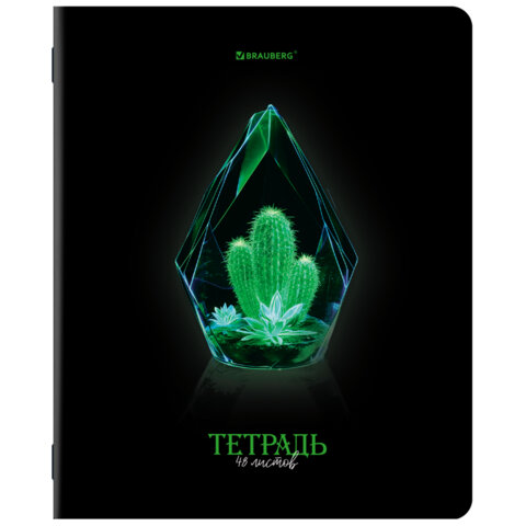 Тетради ДЭК А5 48 л. КОМПЛЕКТ 5 шт. BRAUBERG, скоба, клетка, глянцевый лак, Тетради ДЭК А5 48 л. КОМПЛЕКТ 5 шт. BRAUBERG, скоба, клетка, глянцевый лак,