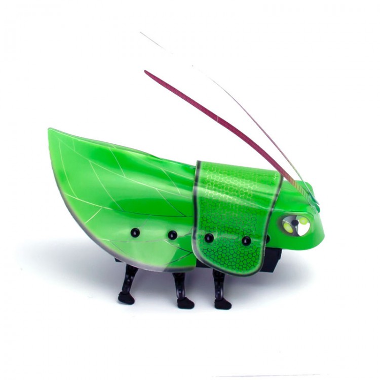 Конструктор Робот-Сверчок Конструктор Робот-Сверчок