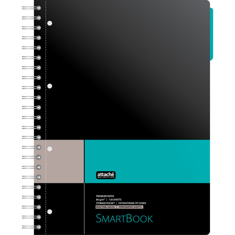 Бизнес-тетрадь SMARTBOOK А4 120л. клетка,спир,микроп,разд,карм,сер-бирюз штр. Бизнес-тетрадь SMARTBOOK А4 120л. клетка,спир,микроп,разд,карм,сер-бирюз штр.