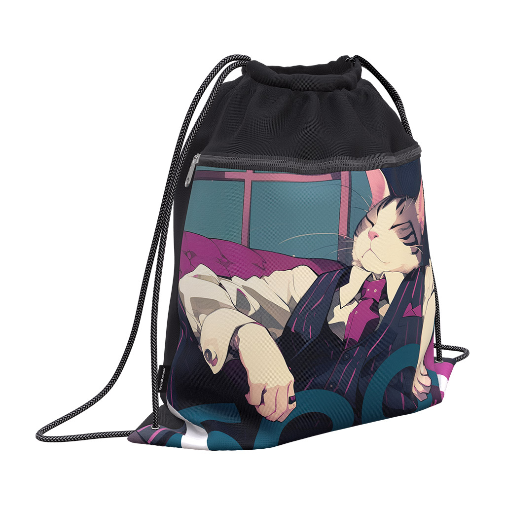 Мешок для обуви ErichKrause с карманом на молнии 500x410мм Cat Boss Мешок для обуви ErichKrause с карманом на молнии 500x410мм Cat Boss