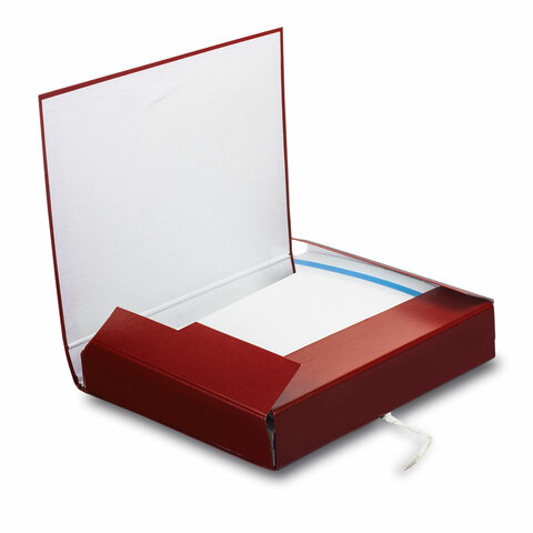 Папка для бумаг архивная А4 (225х310 мм), 85 мм, 2 завязки, бумвинил, до 700 Папка для бумаг архивная А4 (225х310 мм), 85 мм, 2 завязки, бумвинил, до 700