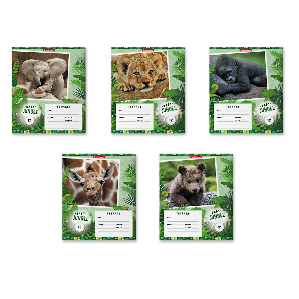 Тетрадь школьная ученическая ErichKrause Baby Jungle, 12 листов, линейка (в Тетрадь школьная ученическая ErichKrause Baby Jungle, 12 листов, линейка (в