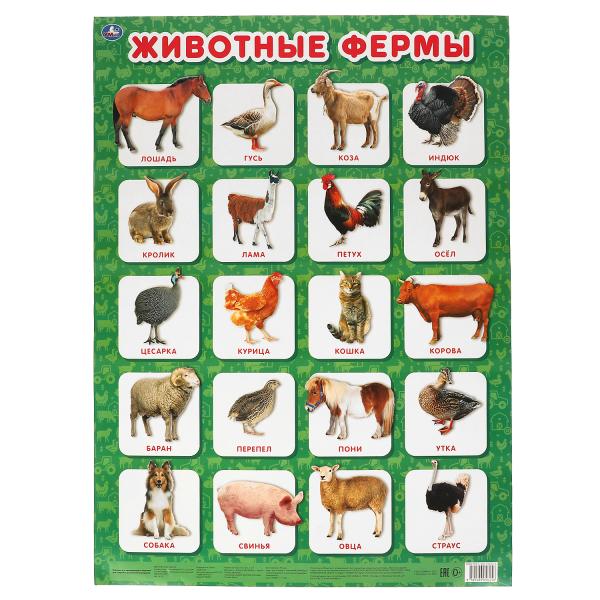 Животные фермы. Плакат А2. Умка Животные фермы. Плакат А2. Умка