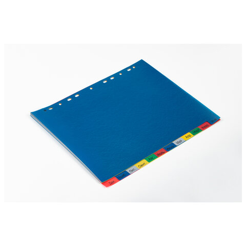 Разделитель пластиковый BRAUBERG, А4+, 12 листов, Январь-Декабрь, оглавление, Разделитель пластиковый BRAUBERG, А4+, 12 листов, Январь-Декабрь, оглавление,