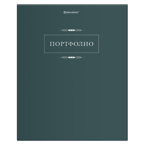 Папка-портфолио универсальная, 4 кольца, 20 файлов, 7БЦ матовая, BRAUBERG Папка-портфолио универсальная, 4 кольца, 20 файлов, 7БЦ матовая, BRAUBERG