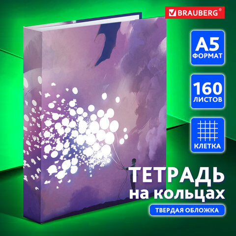 Тетрадь на кольцах А5 175х215 мм, 160 л., твердый картон, клетка, BRAUBERG, Тетрадь на кольцах А5 175х215 мм, 160 л., твердый картон, клетка, BRAUBERG,