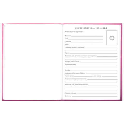 Дневник 5-11 класс 48 л., твердый, BRAUBERG, выборочный лак, с подсказом,