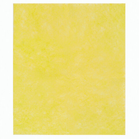 Салфетки универсальные, 30х38 см, комплект 5 шт., 90 г/м2, вискоза (ИПП), Салфетки универсальные, 30х38 см, комплект 5 шт., 90 г/м2, вискоза (ИПП),