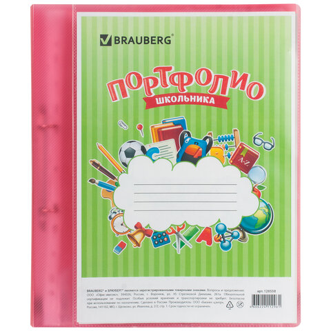 Папка для портфолио школьника, 2 кольца, 20 файлов, пластик полупрозрачный, Папка для портфолио школьника, 2 кольца, 20 файлов, пластик полупрозрачный,