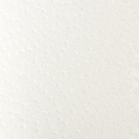 Полотенца бумажные бытовые, спайка 2 шт., 2-х слойные (2х30 м), ЛАЙМА, 22х23 см, Полотенца бумажные бытовые, спайка 2 шт., 2-х слойные (2х30 м), ЛАЙМА, 22х23 см,