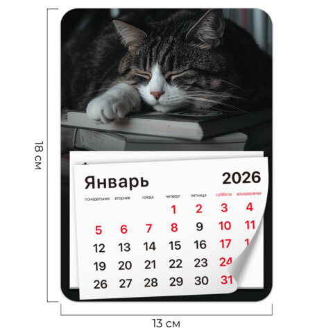 Календарь отрывной на магните на 2026 г., BRAUBERG, 130х180 мм, склейка, Календарь отрывной на магните на 2026 г., BRAUBERG, 130х180 мм, склейка,
