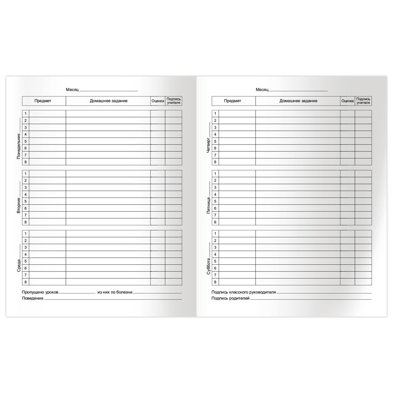 Дневник 5-11 кл. 48л. ЛАЙТ BG "Вместе", глянцевая ламинация Дневник 5-11 кл. 48л. ЛАЙТ BG "Вместе", глянцевая ламинация