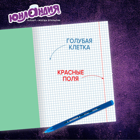 Тетради ДЭК 12 л. КОМПЛЕКТ 20 шт. с ЗЕЛЁНОЙ обложкой, ЮНЛАНДИЯ, клетка, 106741 Тетради ДЭК 12 л. КОМПЛЕКТ 20 шт. с ЗЕЛЁНОЙ обложкой, ЮНЛАНДИЯ, клетка, 106741