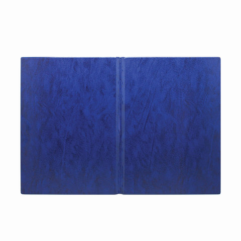 Папка адресная ПВХ "НА ПОДПИСЬ", формат А4, увеличенная вместимость до