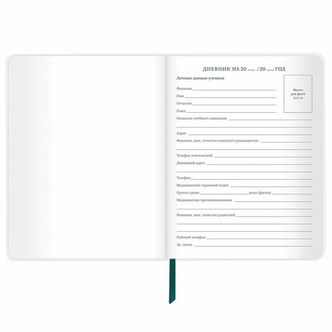 Дневник 1-11 класс 48 л., кожзам (гибкая), термотиснение, фольга, BRAUBERG, Дневник 1-11 класс 48 л., кожзам (гибкая), термотиснение, фольга, BRAUBERG,