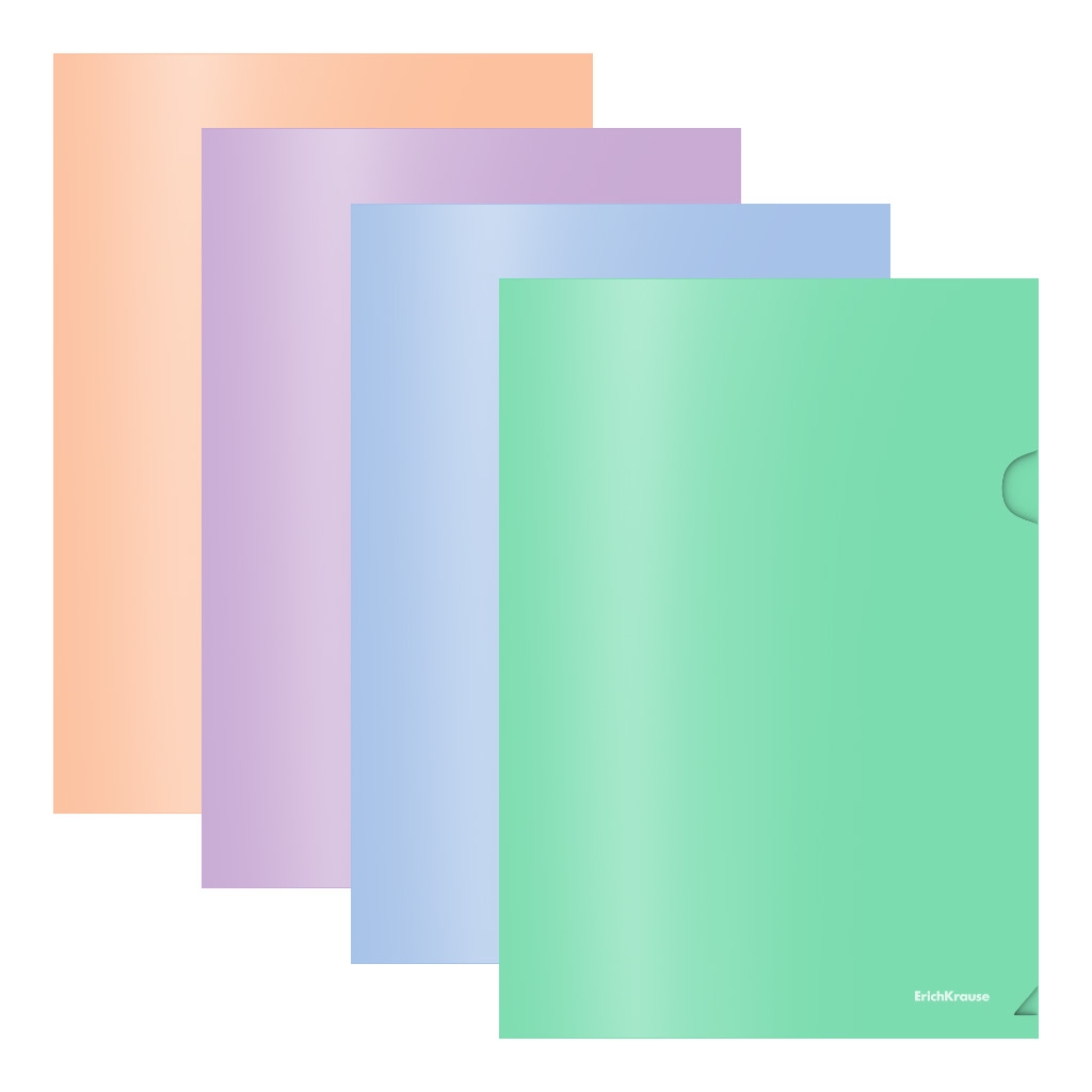 Папка-уголок пластиковая Erich Krause Matt Pastel Bloom, A4, непрозрачный, Папка-уголок пластиковая Erich Krause Matt Pastel Bloom, A4, непрозрачный,