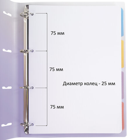 Тетрадь на кольцах БОЛЬШАЯ 305х230мм А4, 120л, пластик, с разделителями, Тетрадь на кольцах БОЛЬШАЯ 305х230мм А4, 120л, пластик, с разделителями,