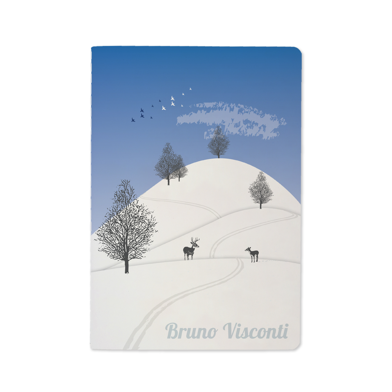 НАБОР ПОДАРОЧНЫЙ "ЗИМА.ХОЛМЫ" (ДВЕ ТЕТРАДИ BV И РУЧКА)