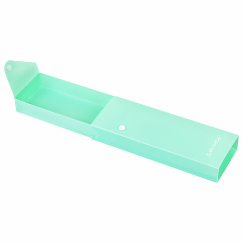 Пенал пластиковый BRAUBERG, 1 отделение, на кнопке, 20x7 см, ассорти,