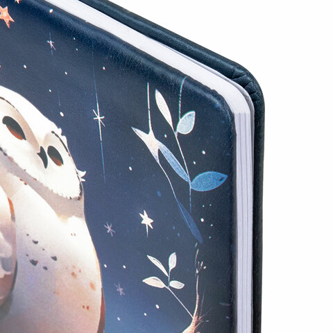 Дневник 1-11 класс 48 л., кожзам (твердая с поролоном), печать, наклейки, Дневник 1-11 класс 48 л., кожзам (твердая с поролоном), печать, наклейки,