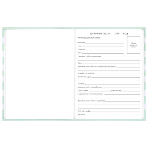 Дневник 1-11 класс 48 л., твердый, BRAUBERG, блестки, с подсказом,