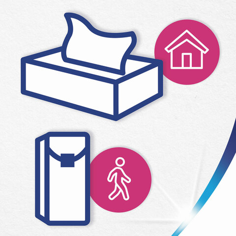 Платки носовые ZEWA Delux, 3-х слойные, 10 шт. х (спайка 10 пачек), 51174 Платки носовые ZEWA Delux, 3-х слойные, 10 шт. х (спайка 10 пачек), 51174