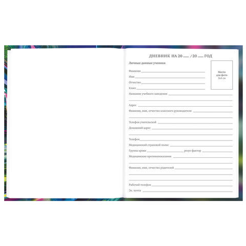 Дневник 5-11 класс 48 л., твердый, BRAUBERG, выборочный лак, с подсказом,