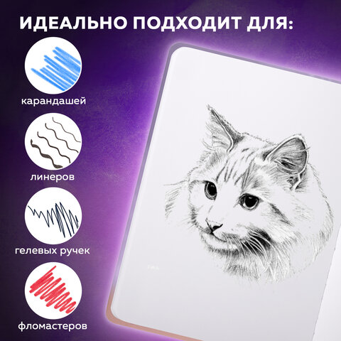 Скетчбук, белая бумага 80 г/м2, 145х203 мм, 80 л., резинка, твердый, BRAUBERG Скетчбук, белая бумага 80 г/м2, 145х203 мм, 80 л., резинка, твердый, BRAUBERG