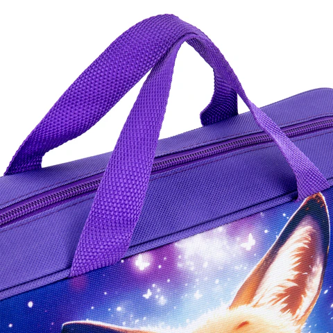 Папка на молнии с ручками BRAUBERG KIDS А4, 1 отделение, полиэстер, 80 мм, Папка на молнии с ручками BRAUBERG KIDS А4, 1 отделение, полиэстер, 80 мм,