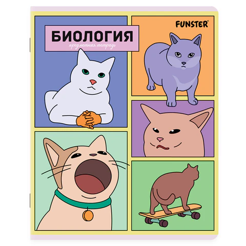 Тетради предметные, КОМПЛЕКТ 12 ПРЕДМЕТОВ, 48 л., TWIN-лак, FUNSTER (ФАНСТЕР), Тетради предметные, КОМПЛЕКТ 12 ПРЕДМЕТОВ, 48 л., TWIN-лак, FUNSTER (ФАНСТЕР),