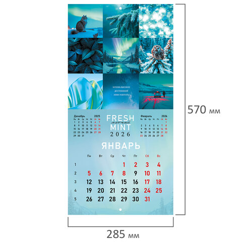 Календарь настенный перекидной 2026 г., BRAUBERG, 12 листов, 28,5х28,5 см,