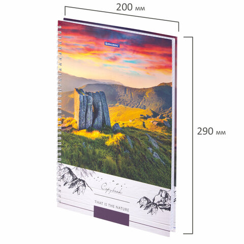 Тетрадь А4, 80 л., BRAUBERG, гребень, клетка, обложка твердая, Тетрадь А4, 80 л., BRAUBERG, гребень, клетка, обложка твердая,