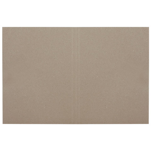 Папка Дело картонная (без скоросшивателя) BRAUBERG, гарантированная плотность