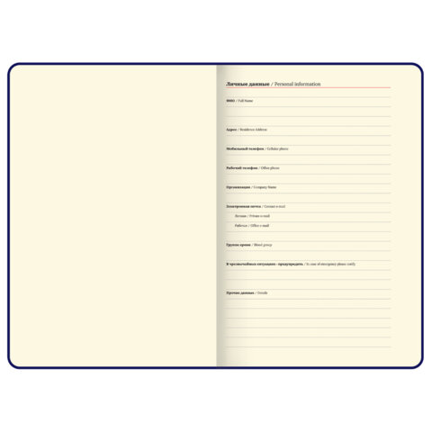 Ежедневник недатированный А5 138х213 мм, BRAUBERG "Base", под кожу,