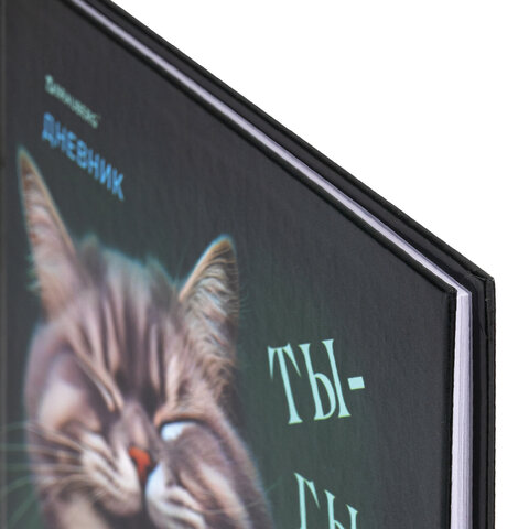 Дневник 5-11 класс 48 л., твердый, BRAUBERG, глянцевая ламинация, с подсказом,