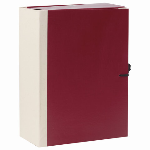 Папка для бумаг архивная А4 (225х310 мм), 120 мм, 4 завязки, бумвинил, корешок -