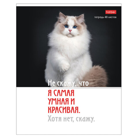 Тетрадь А5 48 л., HATBER скоба, клетка, обложка картон, "Котоюмор"