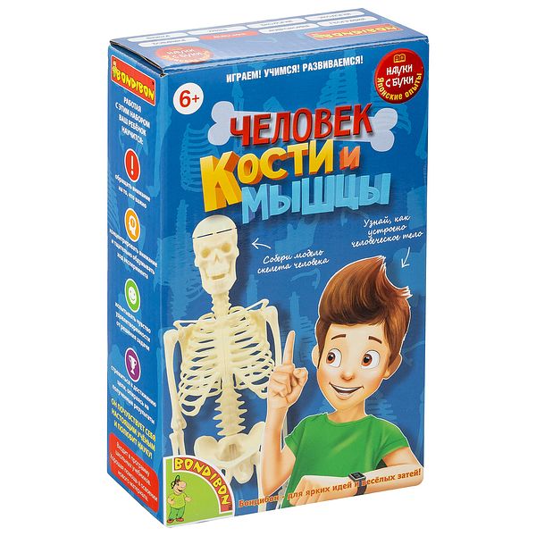 Японские опыты Науки с Буки BONDIBON, Человек. Кости и мышцы Японские опыты Науки с Буки BONDIBON, Человек. Кости и мышцы