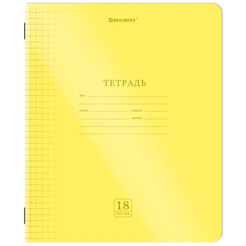 Тетрадь пластиковая обложка (НЕОН) 18 листов, клетка, BRAUBERG "Smart