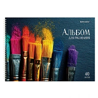 Альбомы для рисования ДЭК, А4, 40 л., КОМПЛЕКТ 2 шт., гребень, глянцевый лак, BRAUBERG, 200х290 мм, "Кисти", 107735