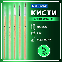 Кисти BRAUBERG, набор 5 шт. (из ворса пони круглая № 1, 2, 3, 4, 5), блистер, 200222
