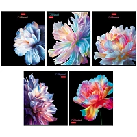 Тетрадь А5, 96 л., HATBER, скоба, клетка, soft-touch ламинация, 3D-лак, "Хрупкие лепестки" (микс), 096198, 96Т5лолВ1
